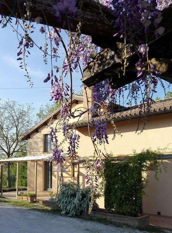 B&B Antegiano Belforte del Chienti 외부 사진